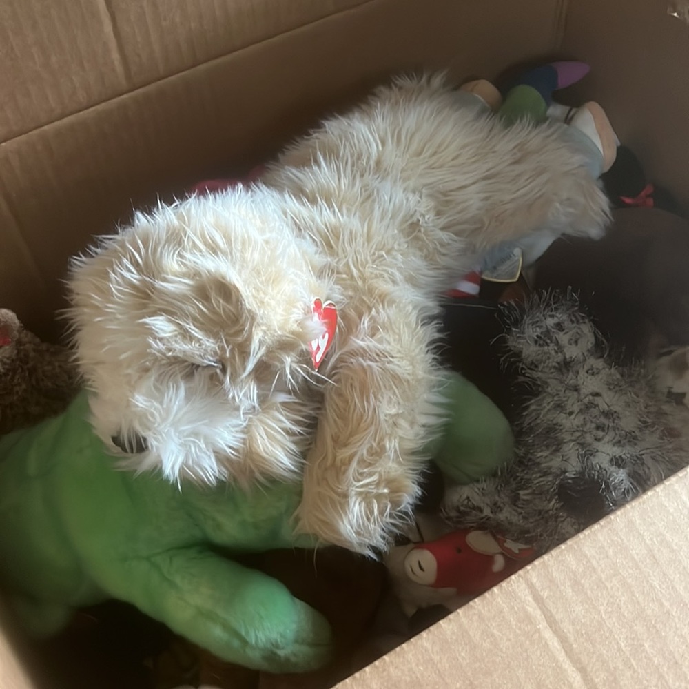 BEANIE BABIES - Picture 12 of 12